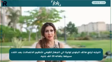 النيابة ترفع هاتف البلوجر لوليتا إلى الجهاز القومي لتنظيم الاتصالات بعد إخلاء سبيلها بكفالة 20 ألف جنيه.
